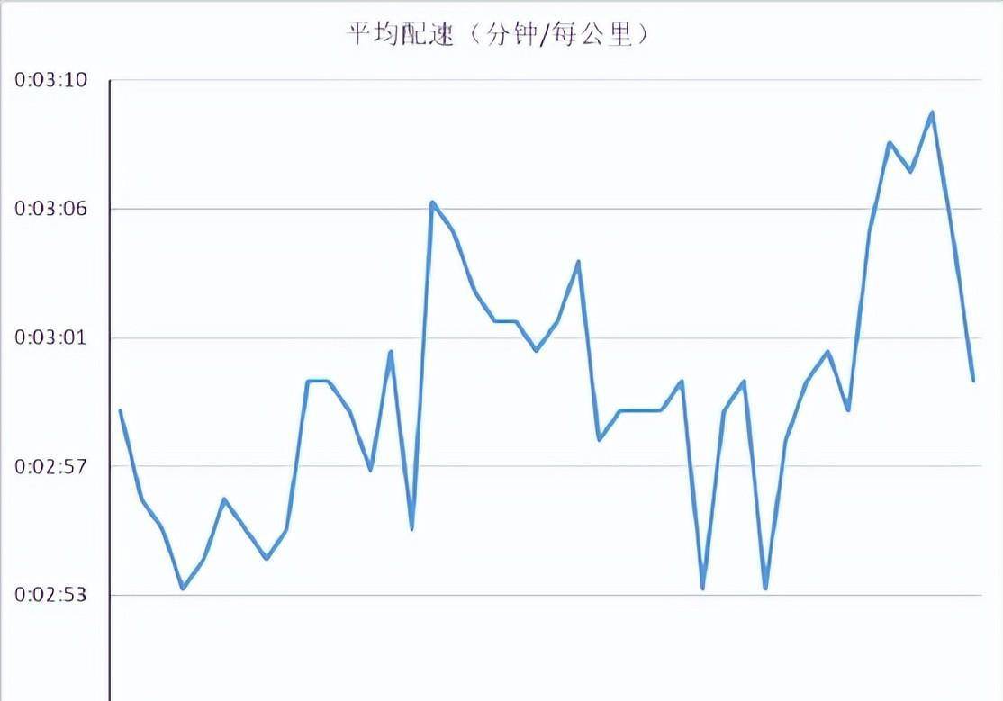 香港码2024开码历史记录,综合数据解析说明_AR版40.231