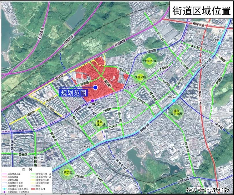 2024新澳门天天开好彩大全正版,最新调查解析说明_专业款29.566