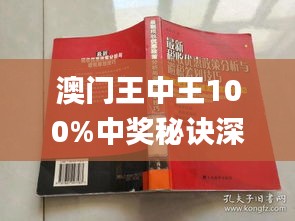 澳门王中王100%期期中,深入分析定义策略_U65.762