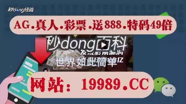 2024澳门天天开彩开奖结果,动态词语解释落实_特别款67.408