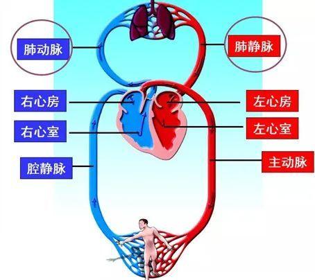 公务员考试网一站式解决考试需求