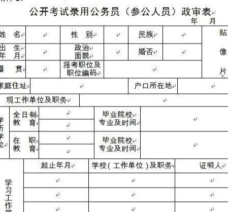 公务员政审三代一览表，深度解读及必要考量分析