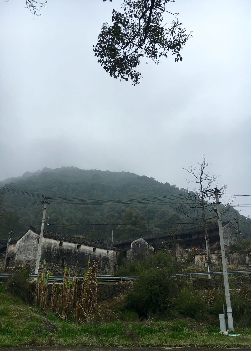 蒲山村民委员会天气预报更新通知