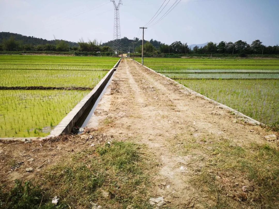 车岗镇新项目，地区发展的强大引擎引领力