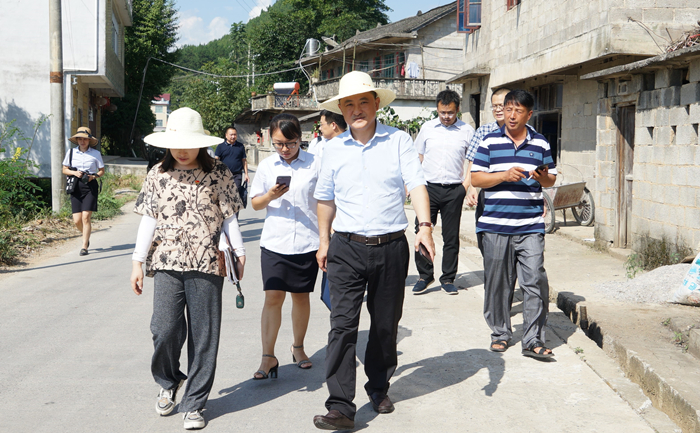 曲德沃村最新动态报道