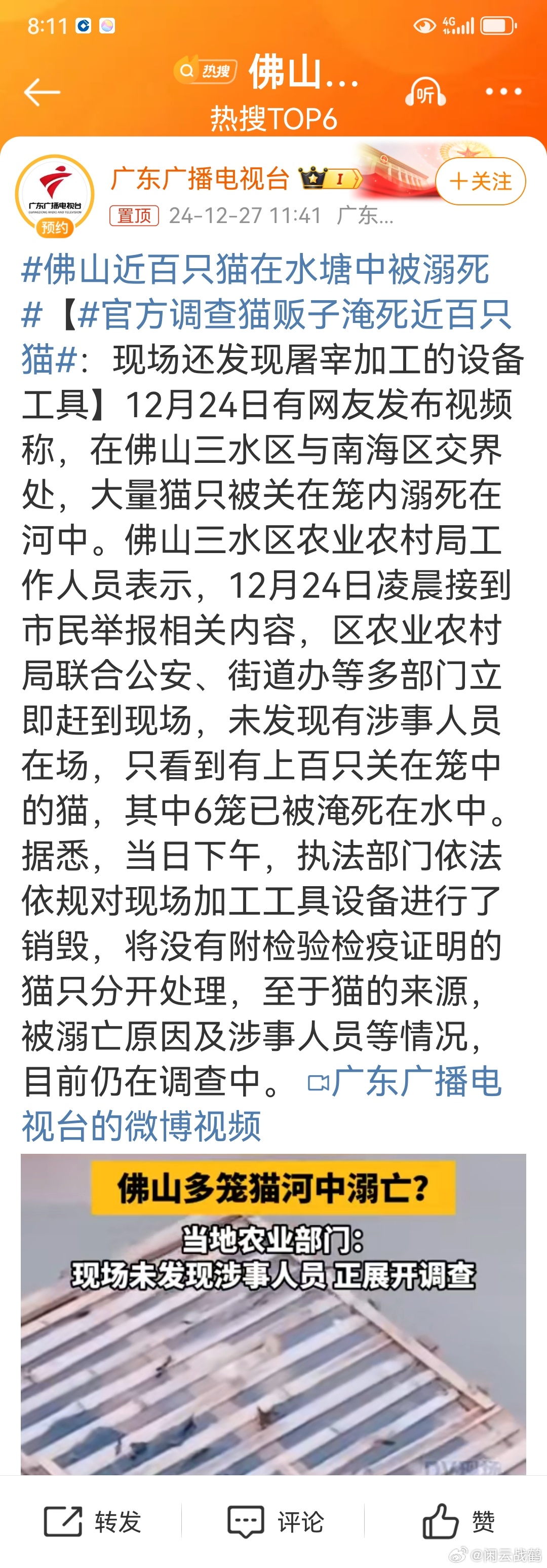 佛山近百只猫水塘溺亡事件深度剖析