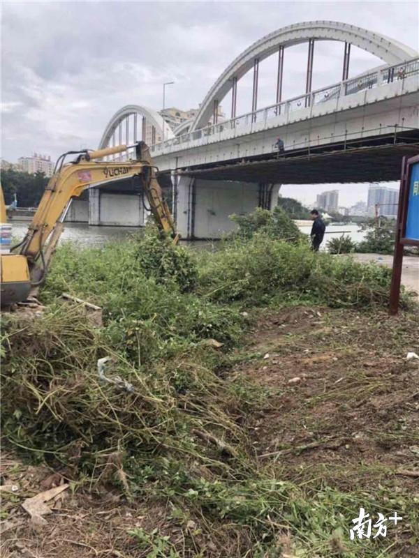 枝江市卫生健康局新项目，健康城市建设的里程碑事件