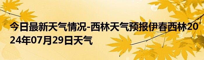 新林林业局天气预报更新通知