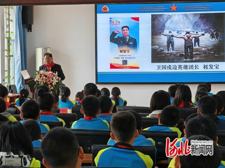 龙山区小学最新动态报道