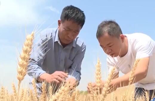 太山村民委员会天气预报更新通知