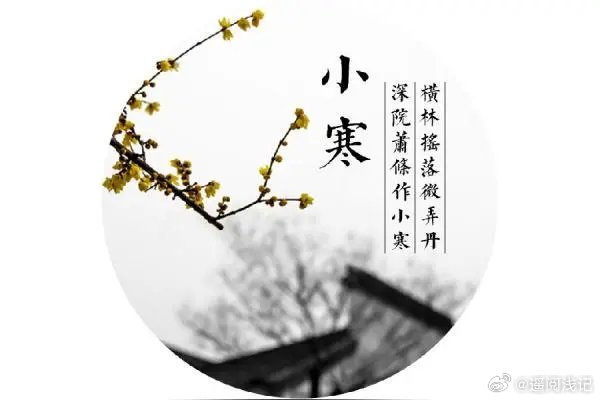 小寒节气，迎接2025年的新篇章