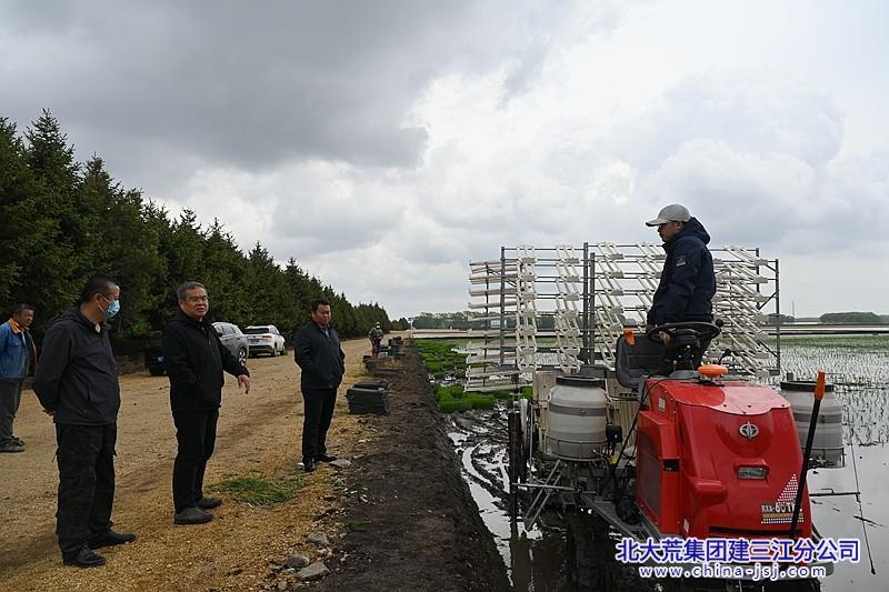 五里江农场最新招聘信息及其区域影响力分析