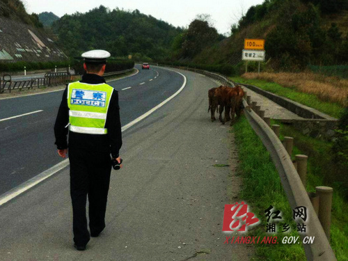 被扔高速女生事件，寻求公正，全录音曝光引关注，曙光初现