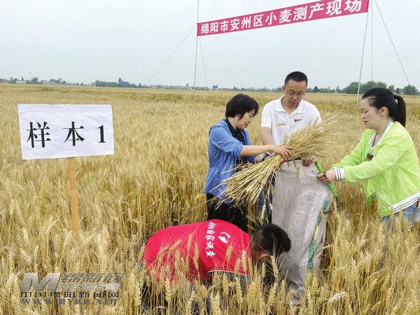 绵阳市城市社会经济调查队最新招聘启事