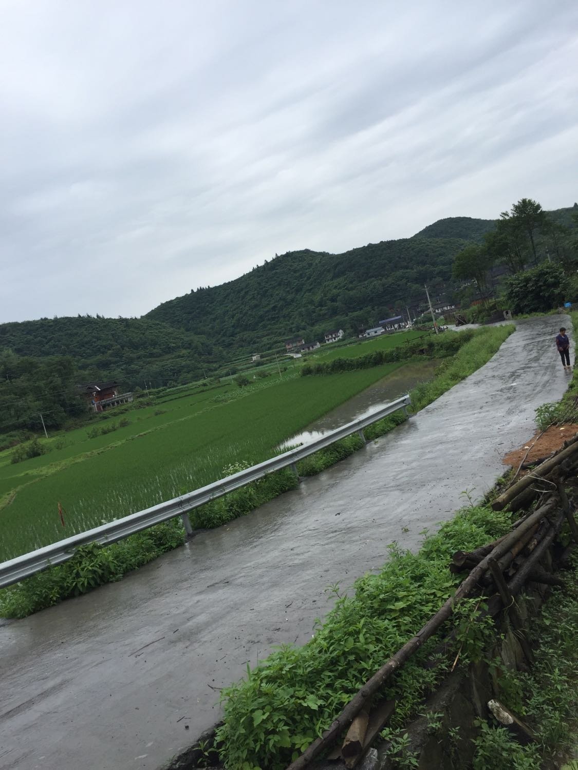 上白石镇天气预报更新通知