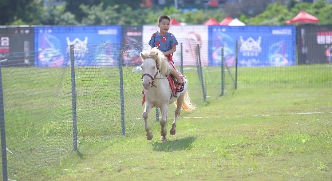 眼镜与听觉的深层联系，为何摘镜后听力受影响？