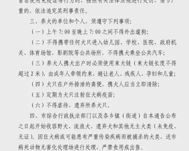 警犬失职事件，点名通报批评背后的深刻反思与启示