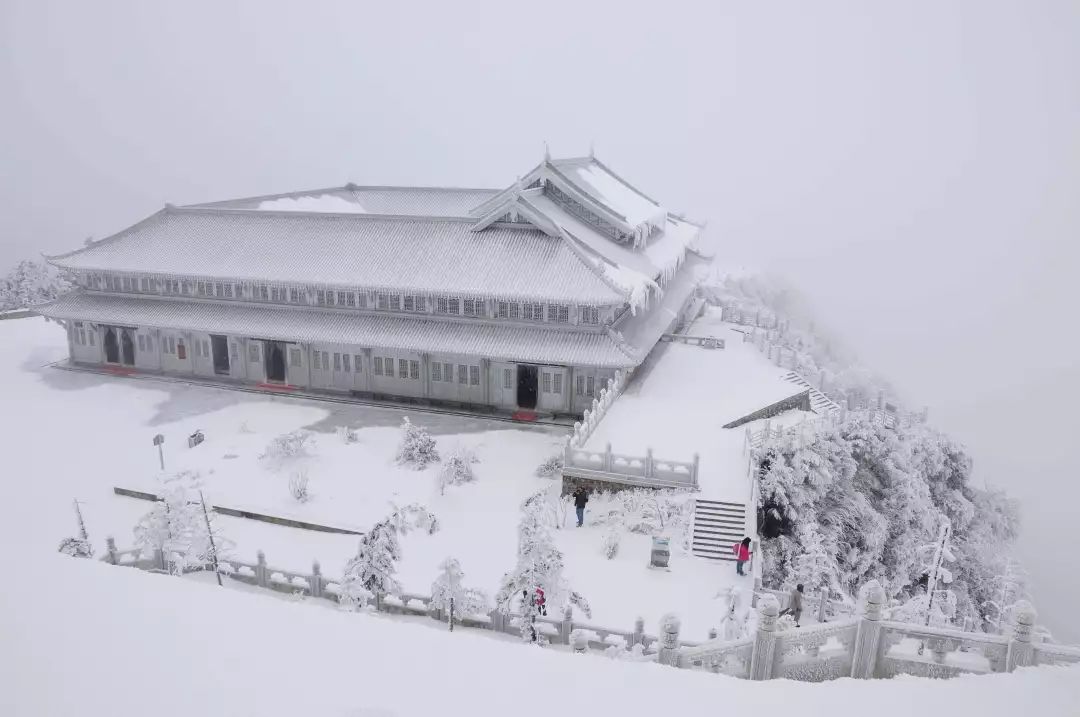 洛阳大雪纷飞，城市银装素裹