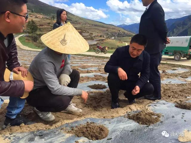 安宏乡未来繁荣蓝图，最新发展规划揭秘