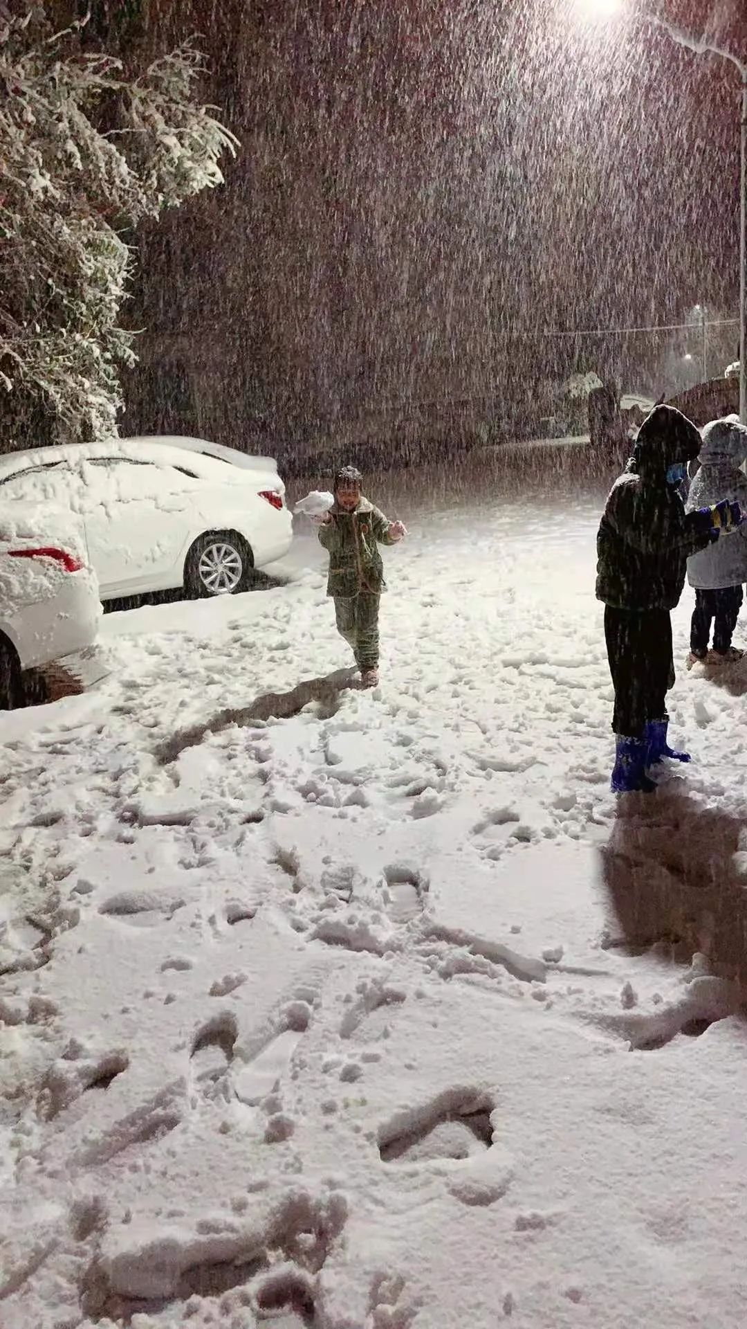 郑州罕见大暴雪考验城市应对能力，反思与行动