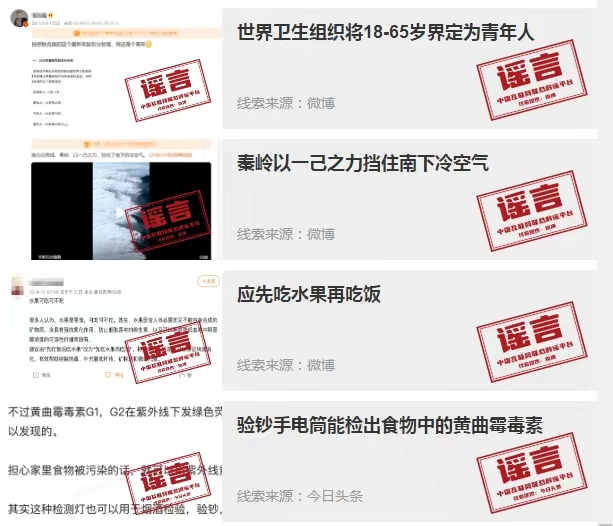 网络辟谣标签，揭示虚假信息的真相与责任追究