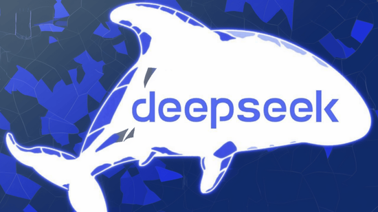 DeepSeek团队，小而强大的探索先锋