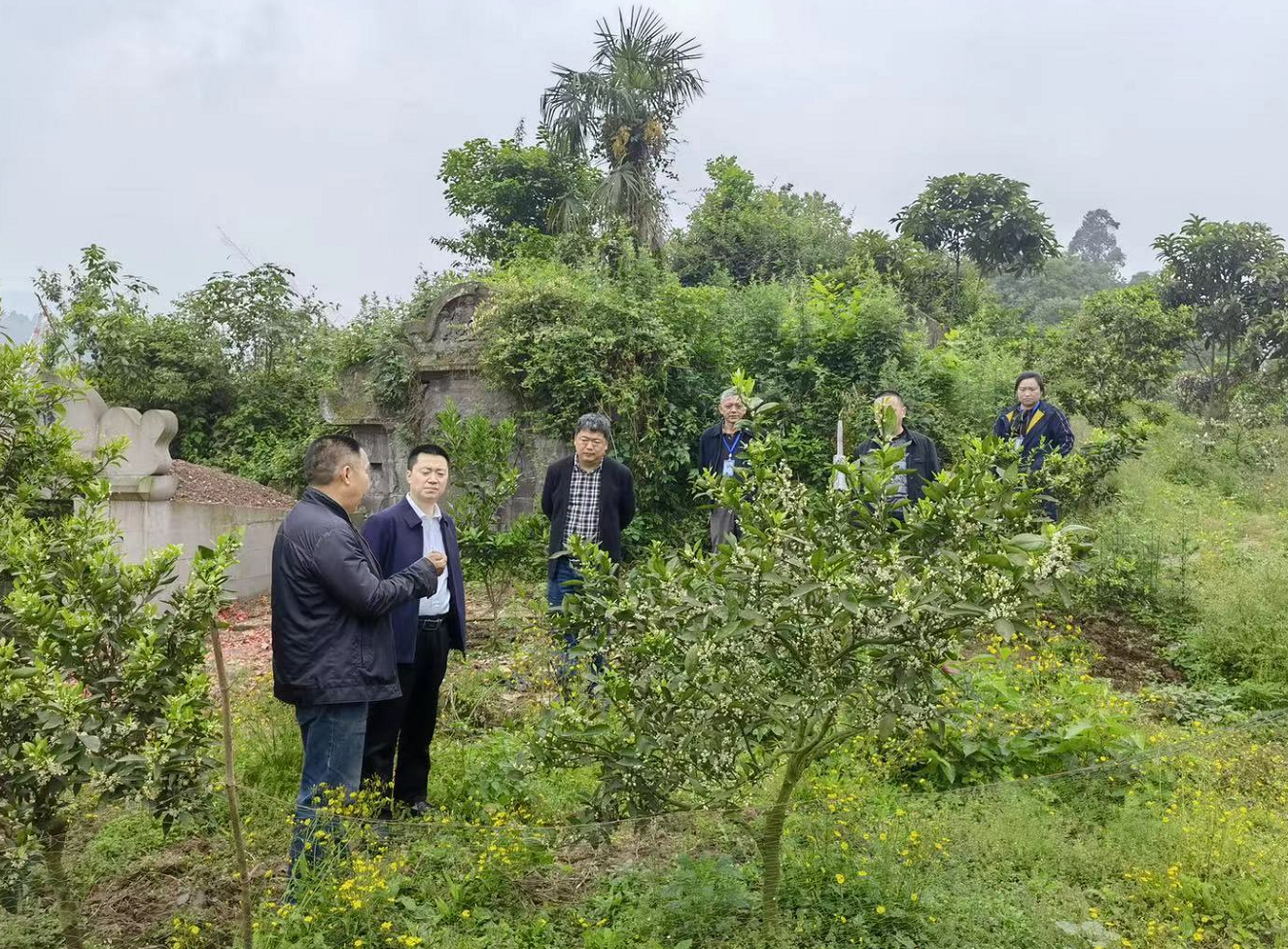 麻柳嘴镇新项目，地区发展的强大引擎