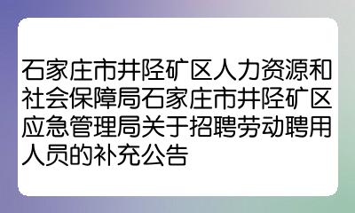 井陉矿区人民政府办公室最新招聘详解