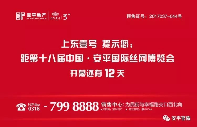 金湖县统计局最新招聘信息详解