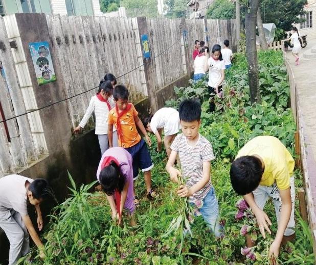 株洲县小学未来教育蓝图，发展规划揭秘