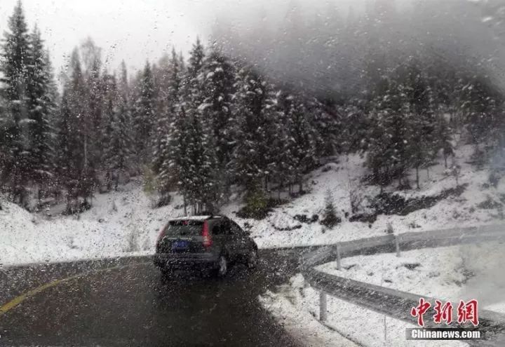 景区棉花造雪引发思考，真实与虚拟的界限之辩