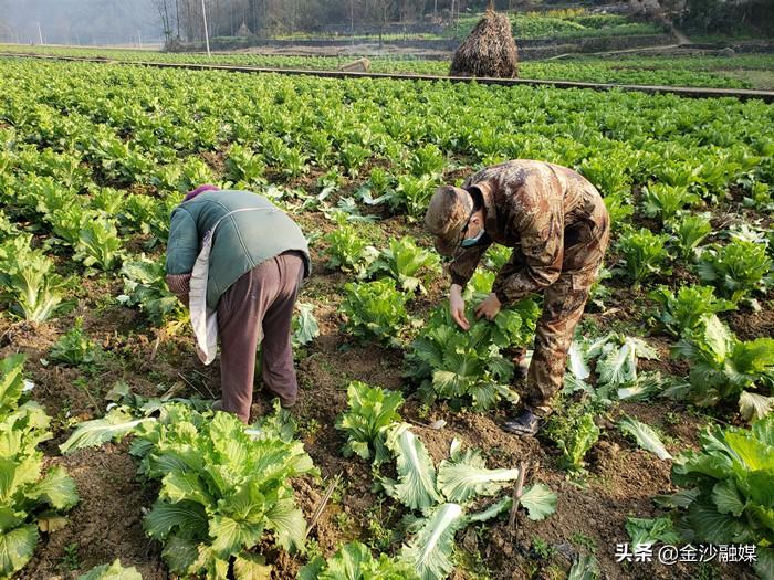 新化县特殊教育事业单位领导团队简介