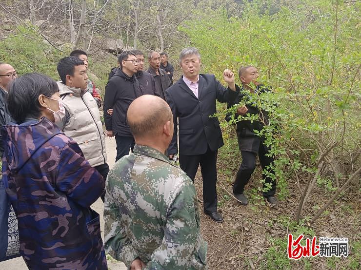 蛟潭庄镇未来繁荣蓝图，最新发展规划揭秘