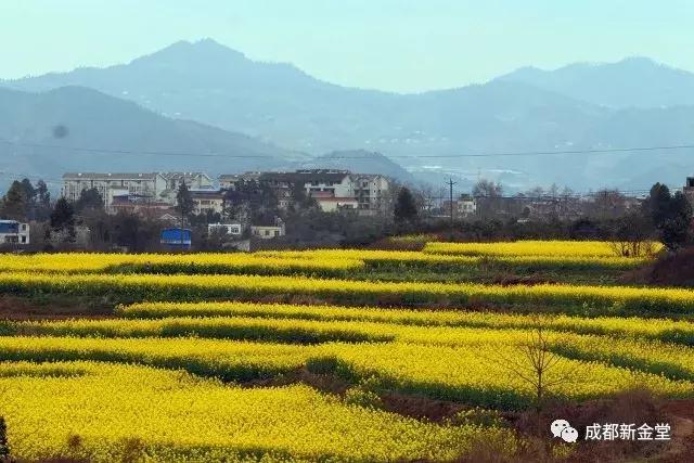 2025年2月14日 第23页