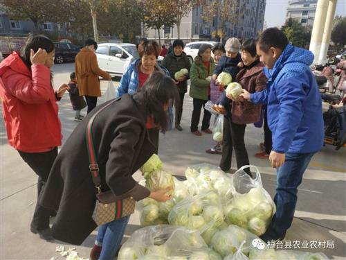 桓台县农业农村局招聘启事，最新职位与机遇概览