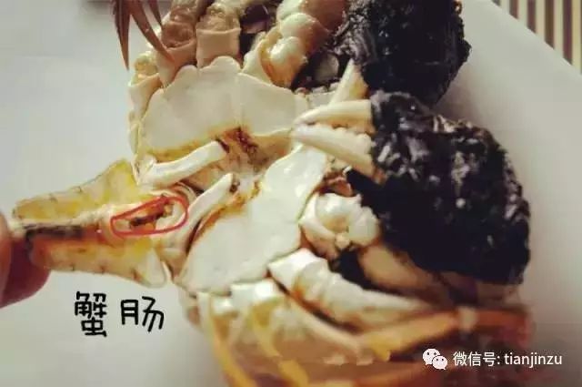 男童生吃蟹腿引发寄生虫入侵心脏，食品安全与健康风险需警惕