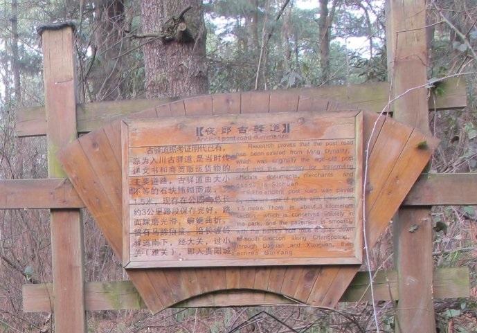 青岩村交通新动向，迈向现代化交通体系的关键步伐