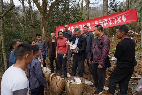 望谟县科技局等新闻动态深度解析报告发布