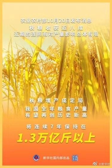 解读中央一号文件，农业新质生产力与粮食安全战略展望