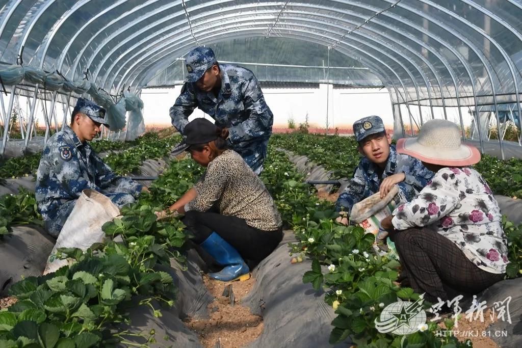 房河坝村委会迈向繁荣和谐未来的最新发展规划