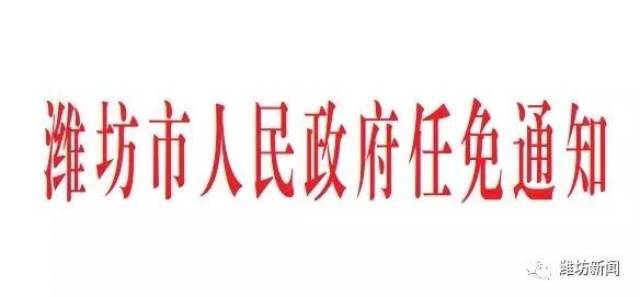 潍坊市行政审批办公室人事任命动态更新