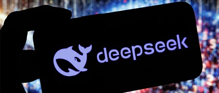 DeepSeek视角下的卫生假象与脏乱行为真相探究