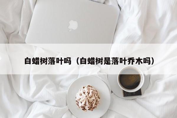 白蜡树落叶吗（白蜡树是落叶乔木吗）