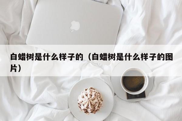 白蜡树是什么样子的（白蜡树是什么样子的图片）