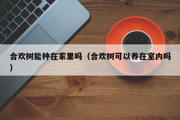 合欢树能种在家里吗（合欢树可以养在室内吗）