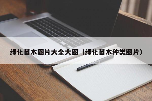 绿化苗木图片大全大图（绿化苗木种类图片）