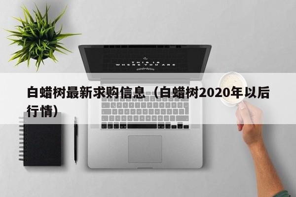 白蜡树最新求购信息（白蜡树2020年以后行情）  第1张