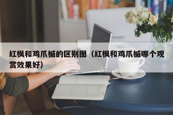 红枫和鸡爪槭的区别图（红枫和鸡爪槭哪个观赏效果好）