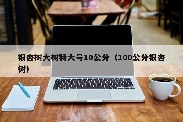 银杏树大树特大号10公分（100公分银杏树）