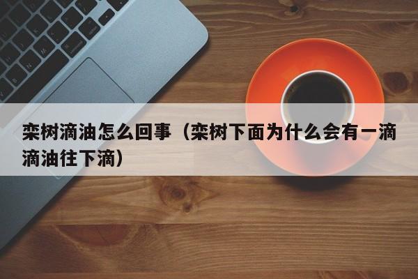 栾树滴油怎么回事（栾树下面为什么会有一滴滴油往下滴）  第1张